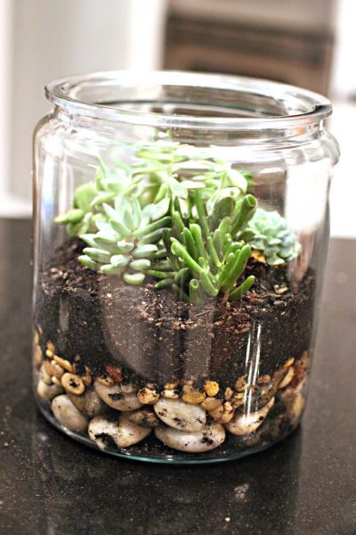 Easy DIY Succulent Planters | Free Printable Included