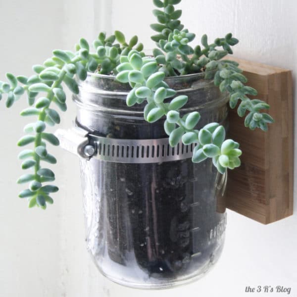 Easy Diy Succulent Planters Free Printable Included